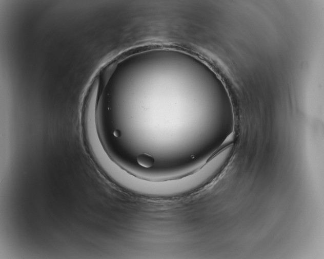 X0000091721168200709141159