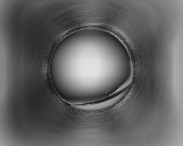 X0000091721169200709141159