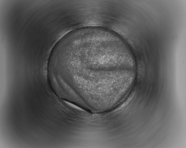 X0000091721170200709141159