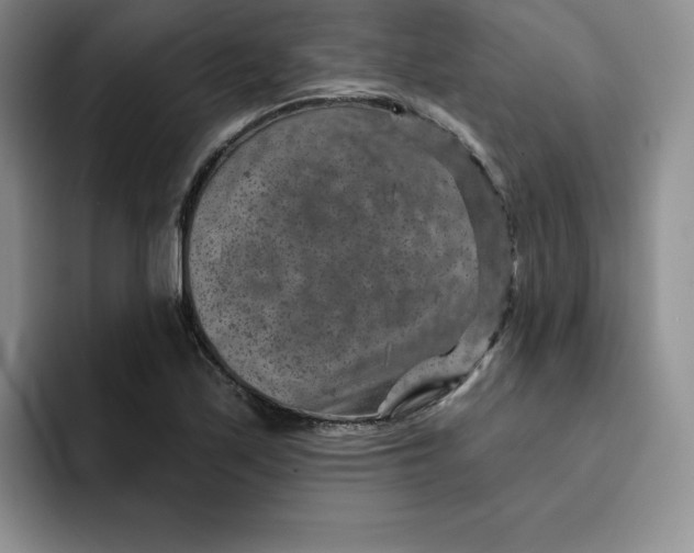 X0000091721171200709141159