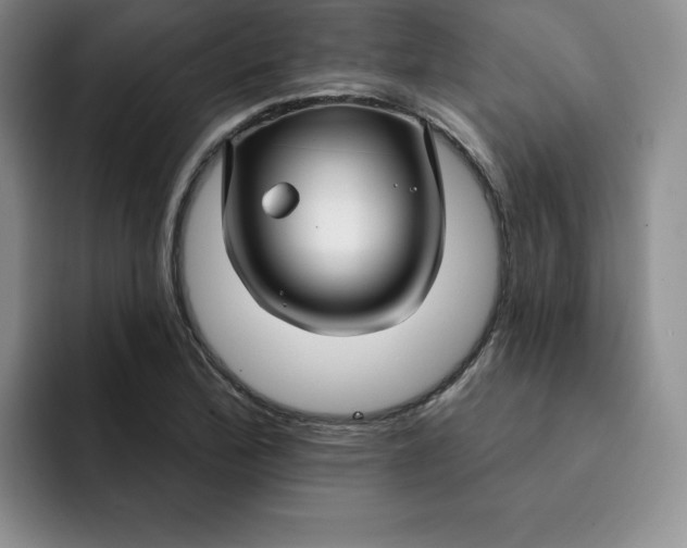 X0000091721172200709141159