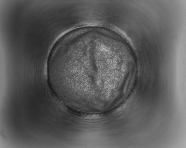 X0000091721174200709141159