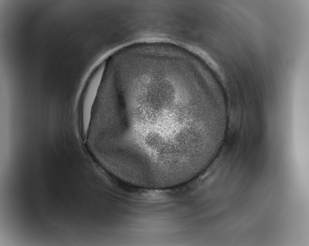 X0000091721175200709141159