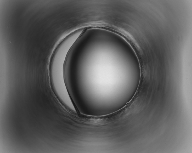 X0000091721176200709141159