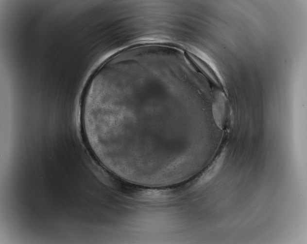 X0000091721179200709141159