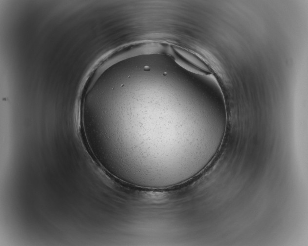 X0000091721180200709141159