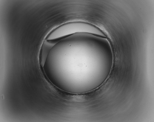 X0000091721181200709141159