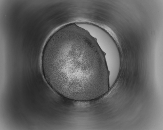 X0000091721183200709141159