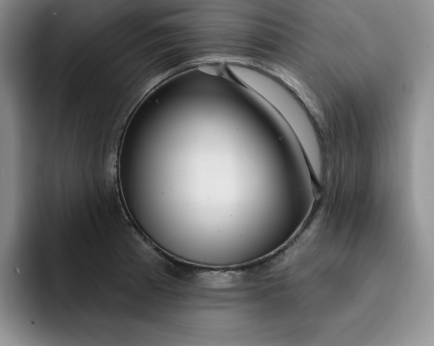 X0000091721185200709141159