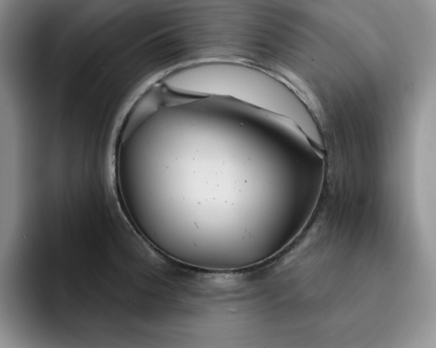 X0000091721188200709141159