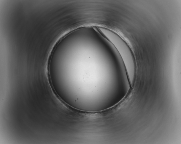 X0000091721189200709141159