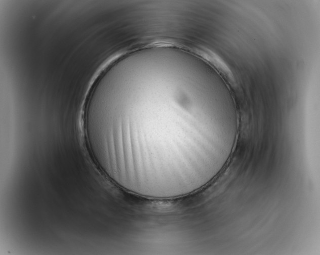 X0000091721190200709141159