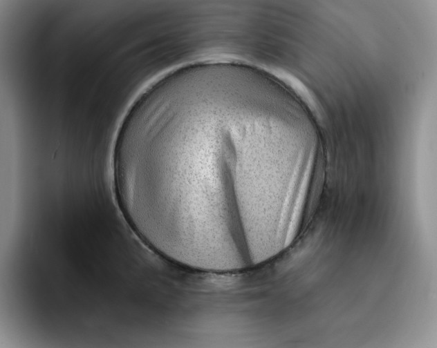 X0000091721191200709141159