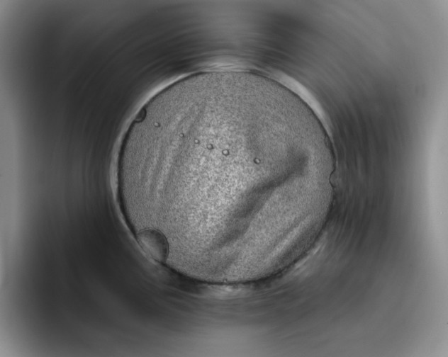 X0000091721195200709141159