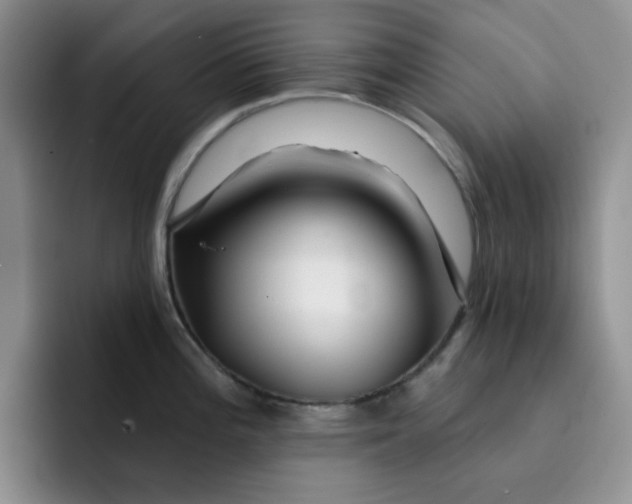 X0000091721196200709141159