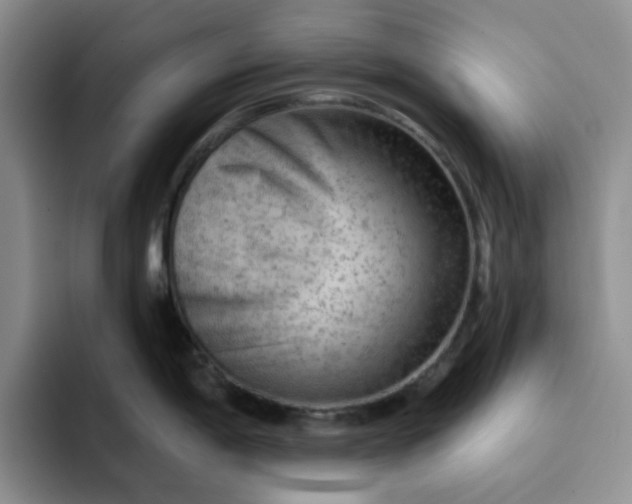 X0000091721198200709141159