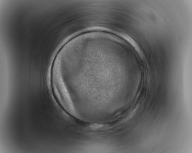 X0000091721199200709141159