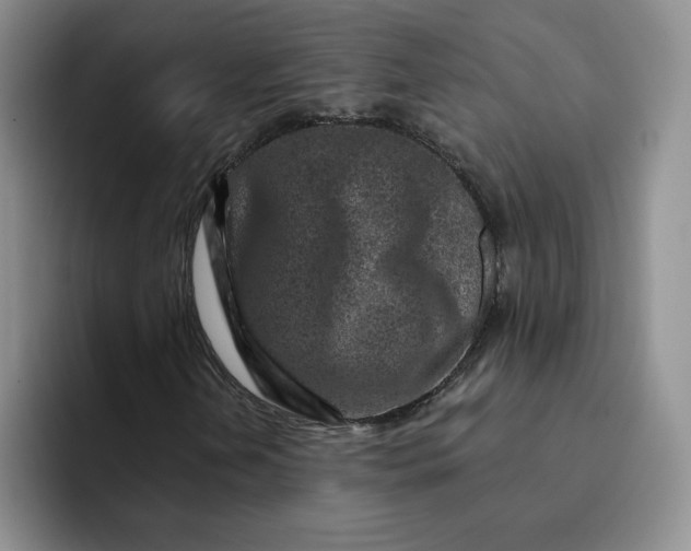 X0000091721202200709141158