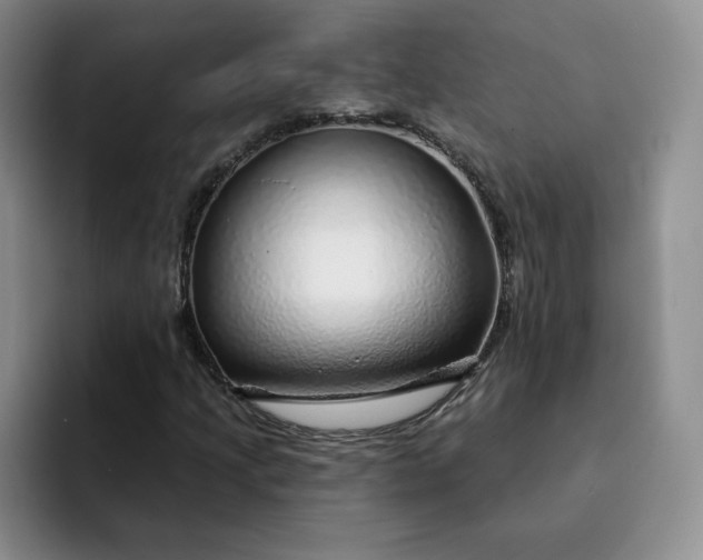 X0000091721205200709141158