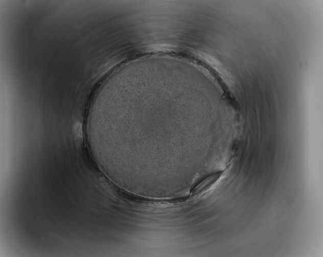 X0000091721209200709141158