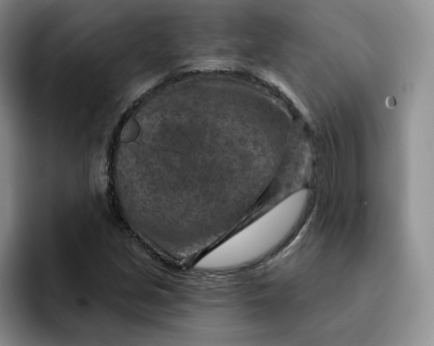 X0000091721213200709141159