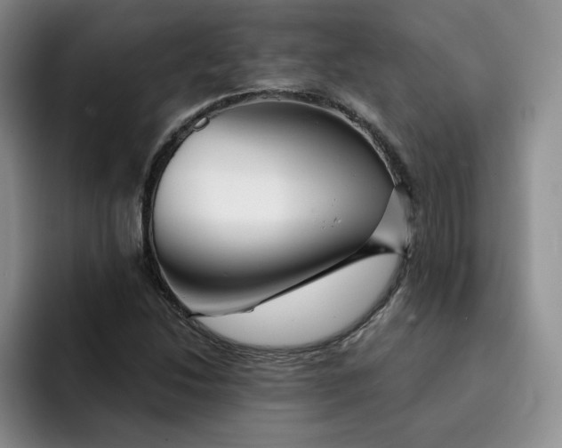 X0000091721214200709141159