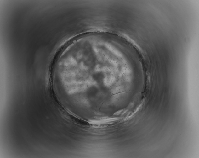 X0000091721215200709141159