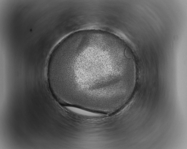 X0000091721216200709141159