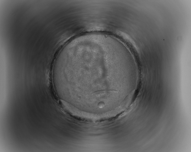 X0000091721217200709141159