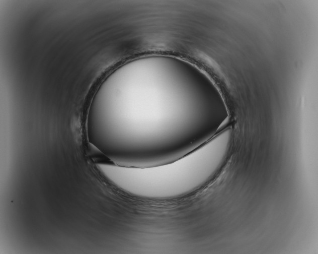 X0000091721218200709141159