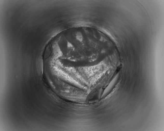 X0000091721219200709141159