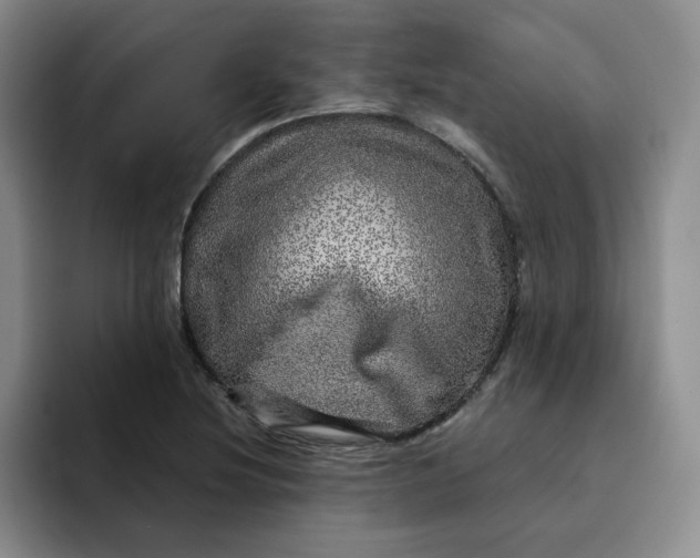 X0000091721220200709141159