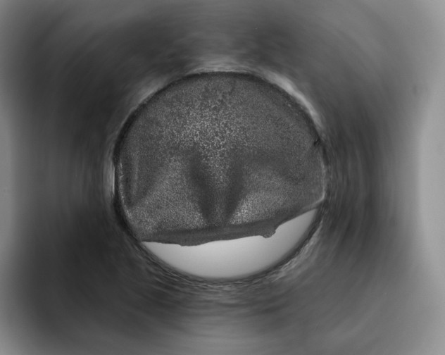 X0000091721221200709141159