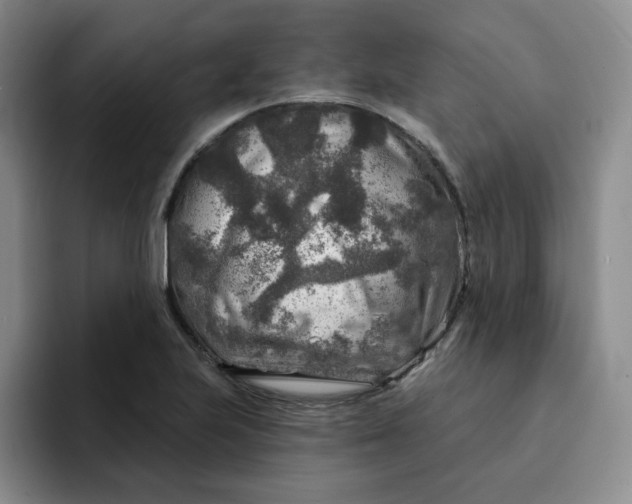 X0000091721223200709141159