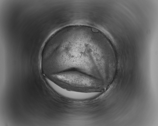 X0000091721224200709141159