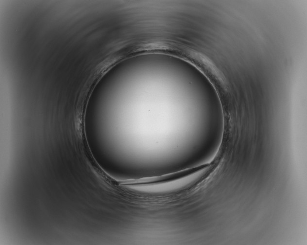 X0000091721225200709141159