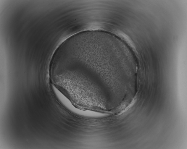 X0000091721226200709141159