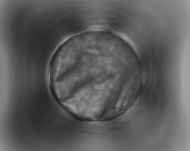 X0000091721227200709141159