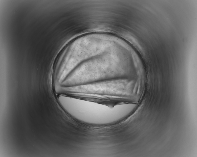 X0000091721228200709141159