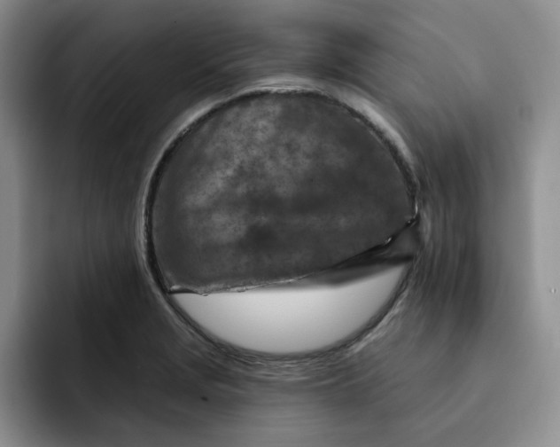 X0000091721229200709141159