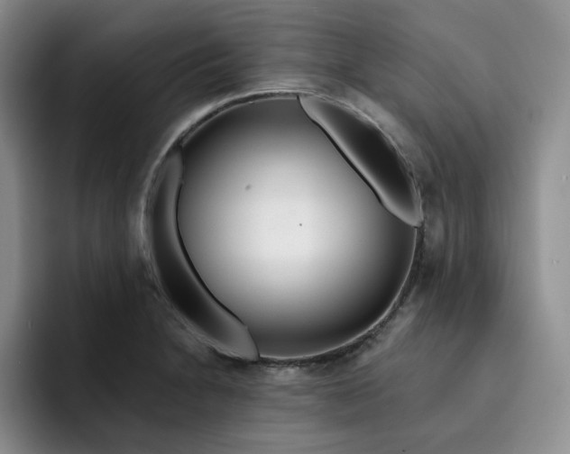 X0000091721230200709141159