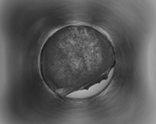 X0000091721231200709141159