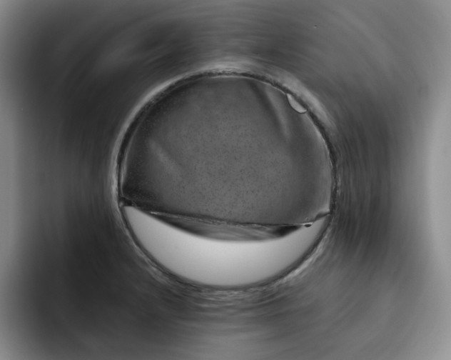 X0000091721232200709141159