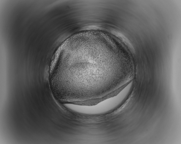 X0000091721233200709141159