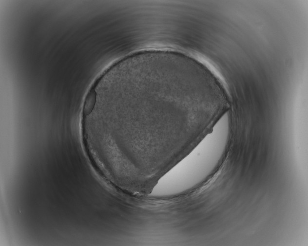 X0000091721237200709141159