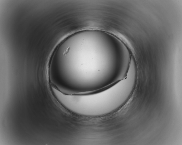 X0000091721238200709141159