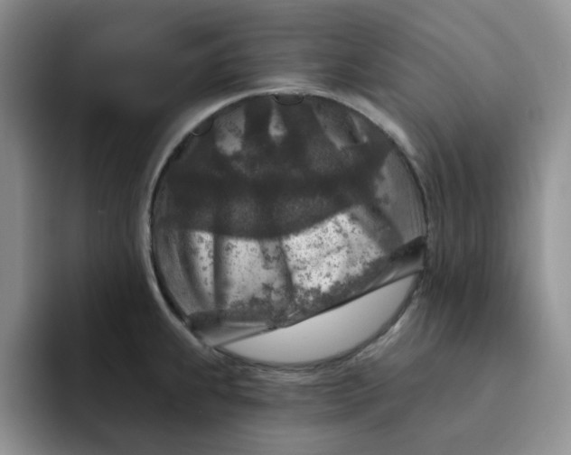 X0000091721239200709141159