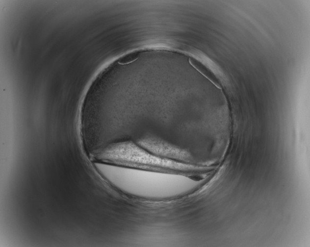 X0000091721240200709141159