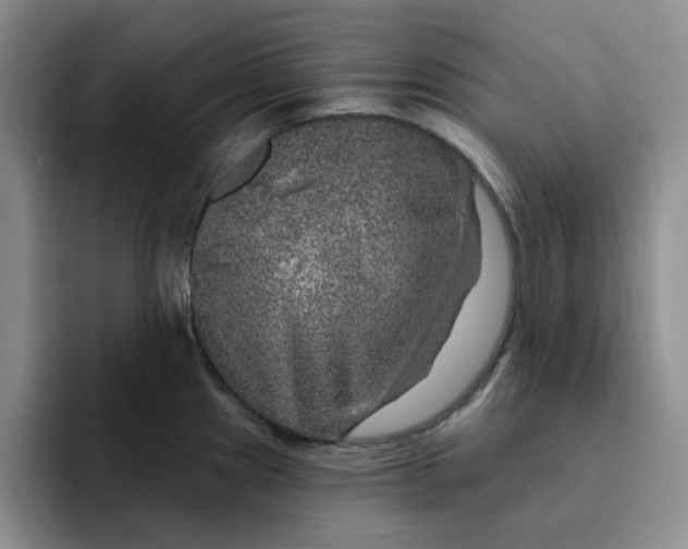 X0000091721241200709141159