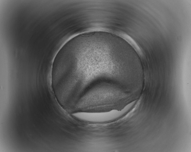 X0000091721244200709141159